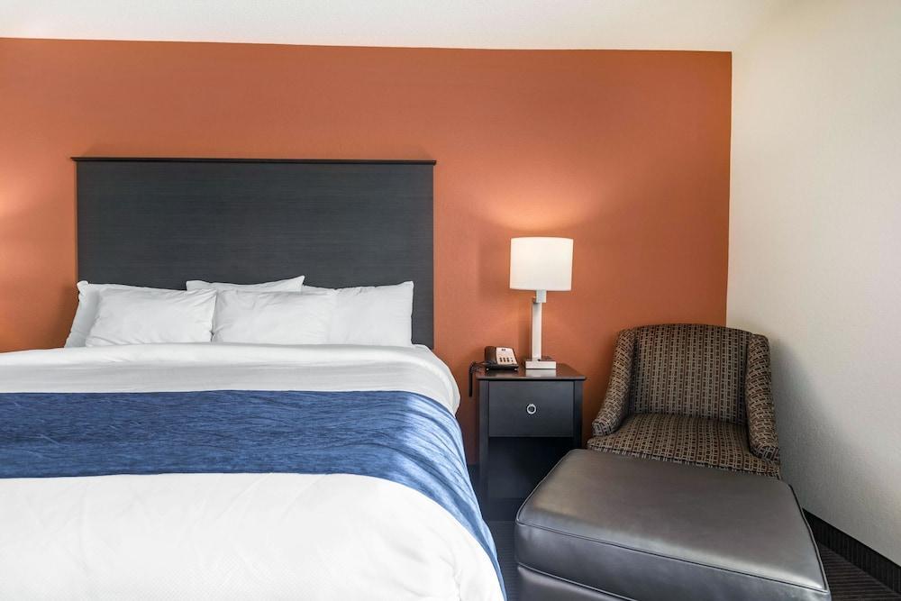 Comfort Inn Wings Stadium Kalamazoo Zewnętrze zdjęcie